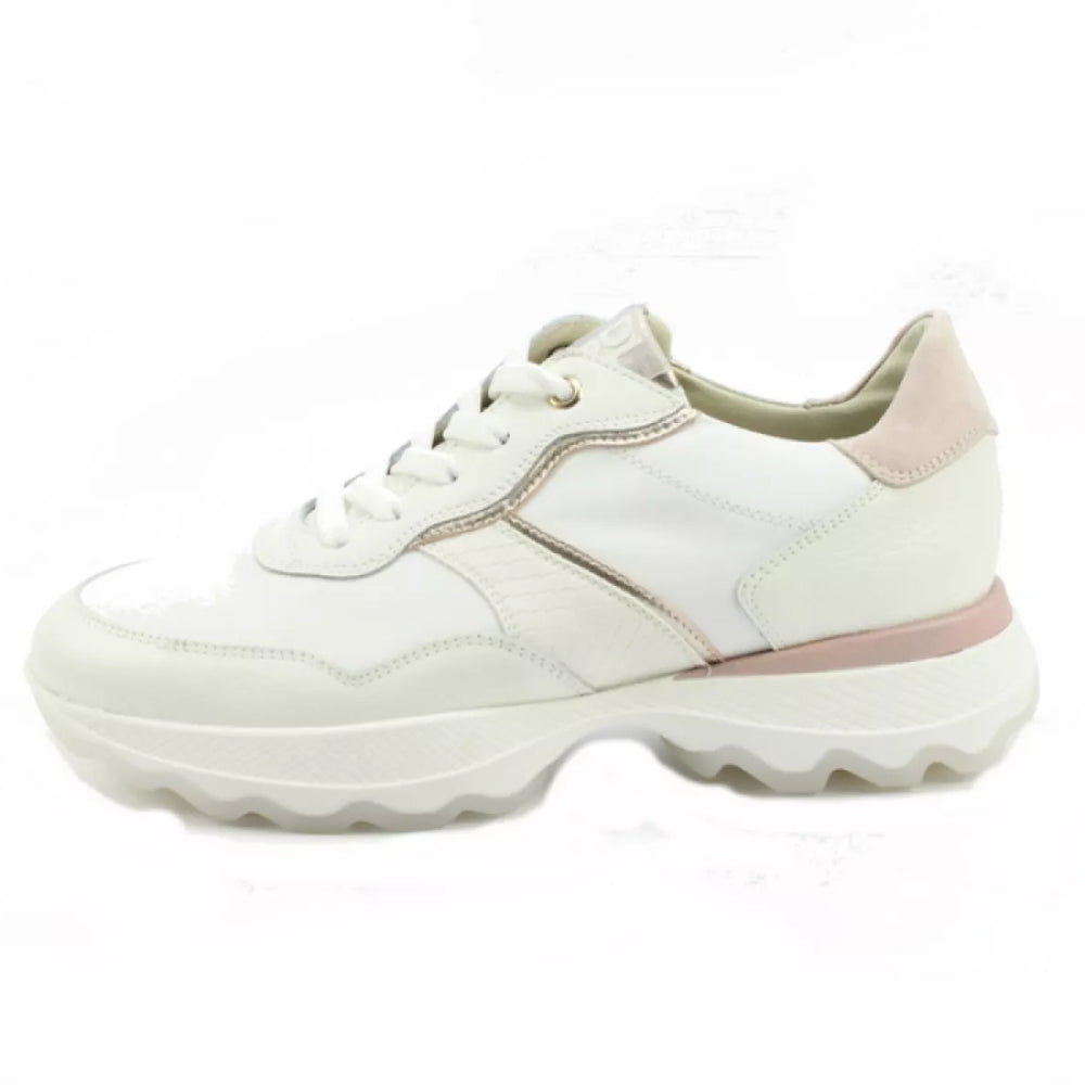 
                  
                    DLSport DLSport 6245
                  
                