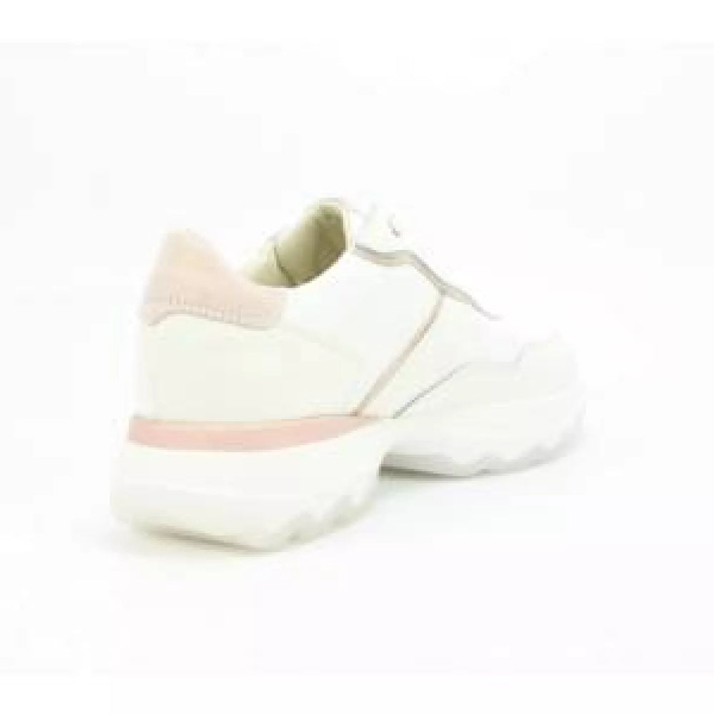 
                  
                    DLSport DLSport 6245
                  
                