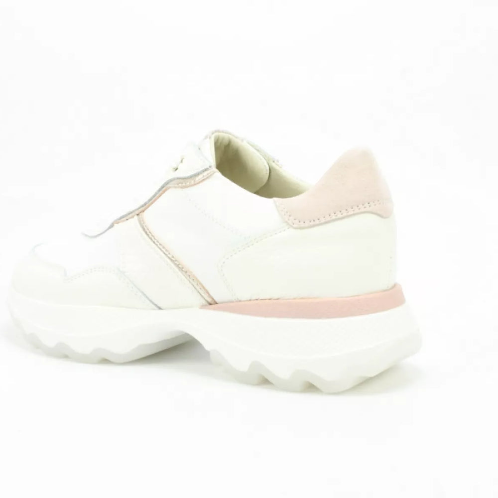 
                  
                    DLSport DLSport 6245
                  
                