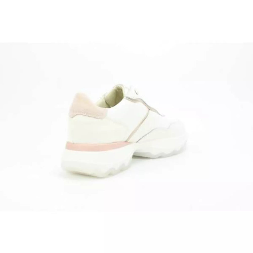 
                  
                    DLSport DLSport 6245
                  
                
