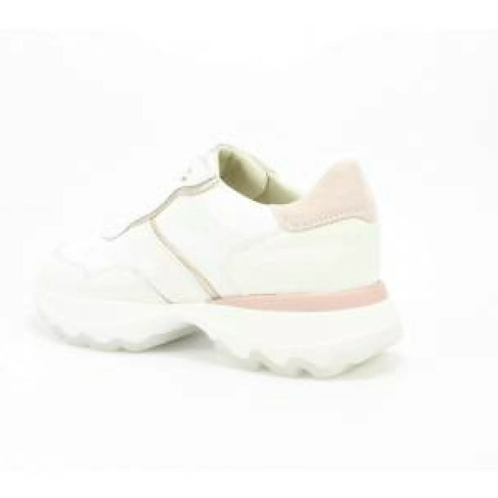 
                  
                    DLSport DLSport 6245
                  
                