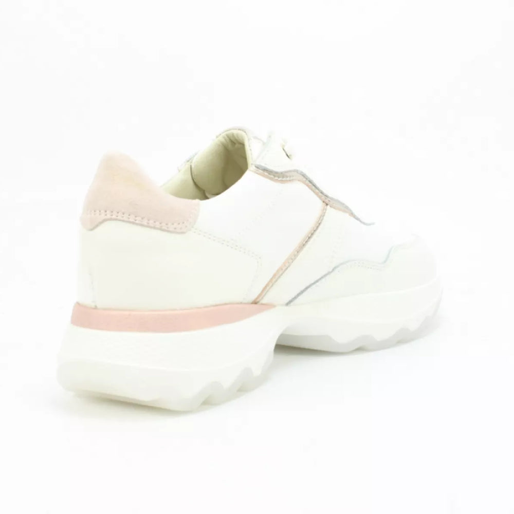 
                  
                    DLSport DLSport 6245
                  
                