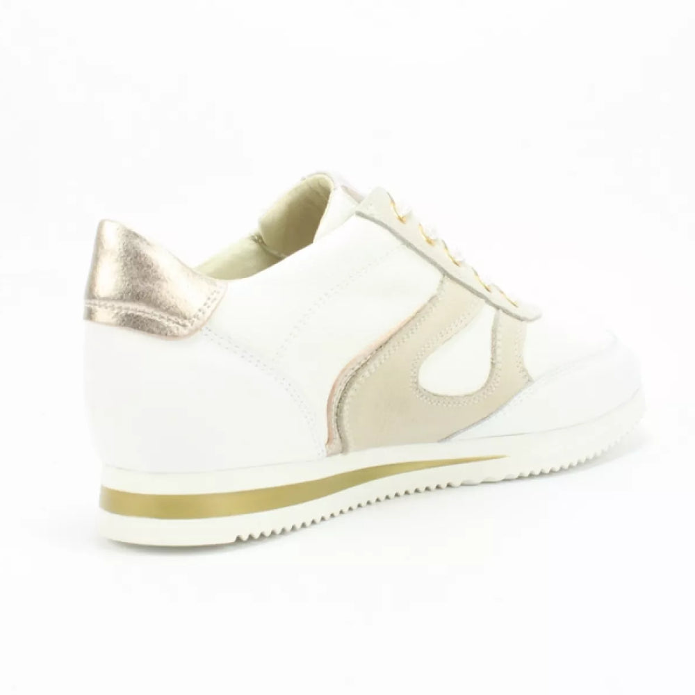 
                  
                    DLSport DLSport 6251 vitello
                  
                