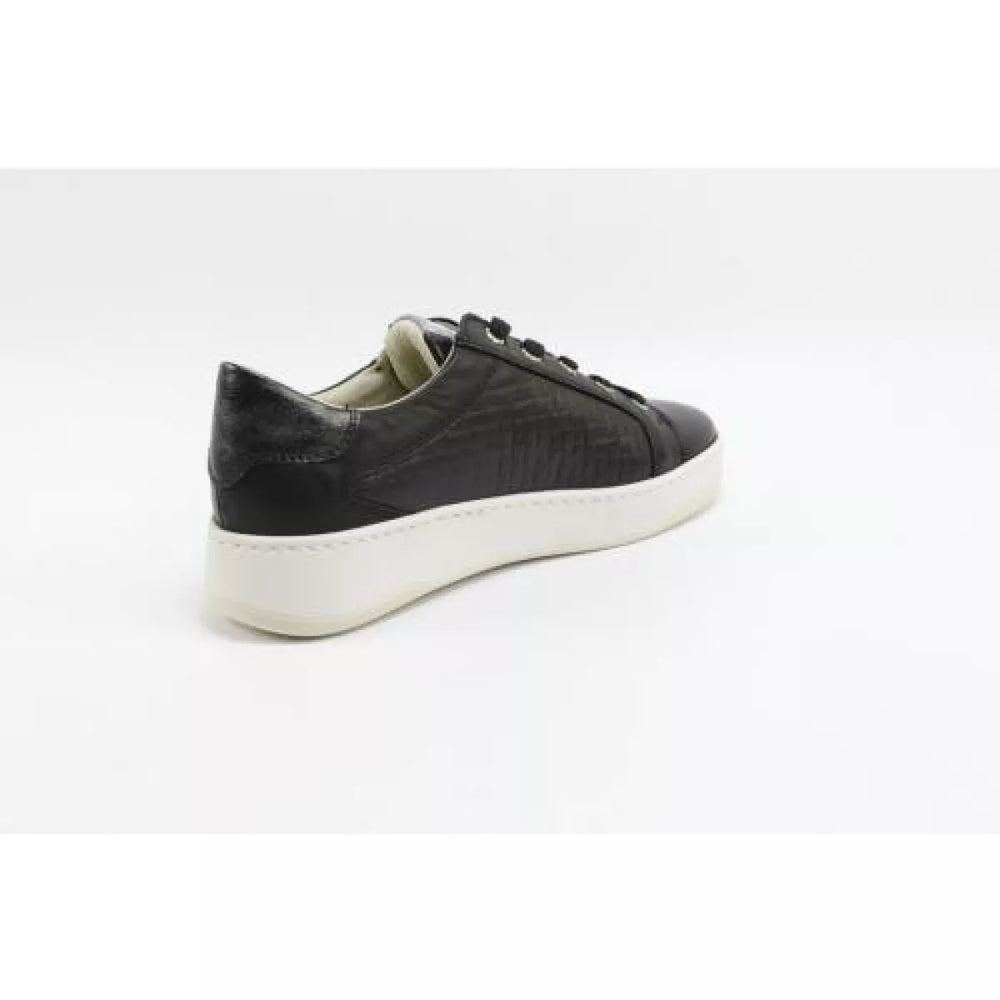 
                  
                    DLSport DLSport 6501 versione 0A sun
                  
                