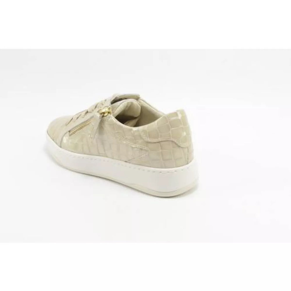 
                  
                    DLSport DLSport 6504 versione 0B navajo sabbia
                  
                