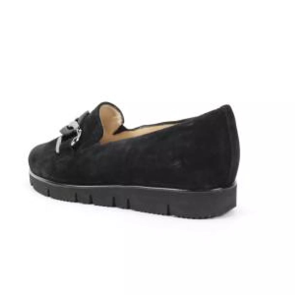 
                  
                    HASSIA HASSIA PISA 301537-0100
                  
                