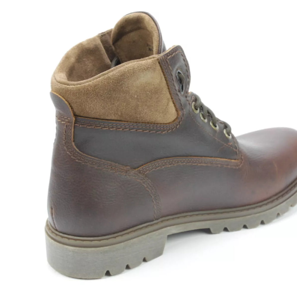 
                  
                    PANAMA JACK PANAMA JACK Amur GTX C10
                  
                