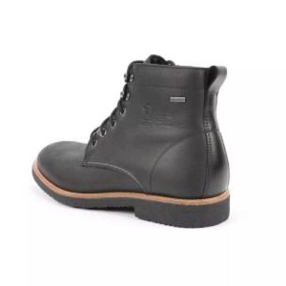 
                  
                    PANAMA JACK PANAMA JACK Glasgow GTX C3
                  
                