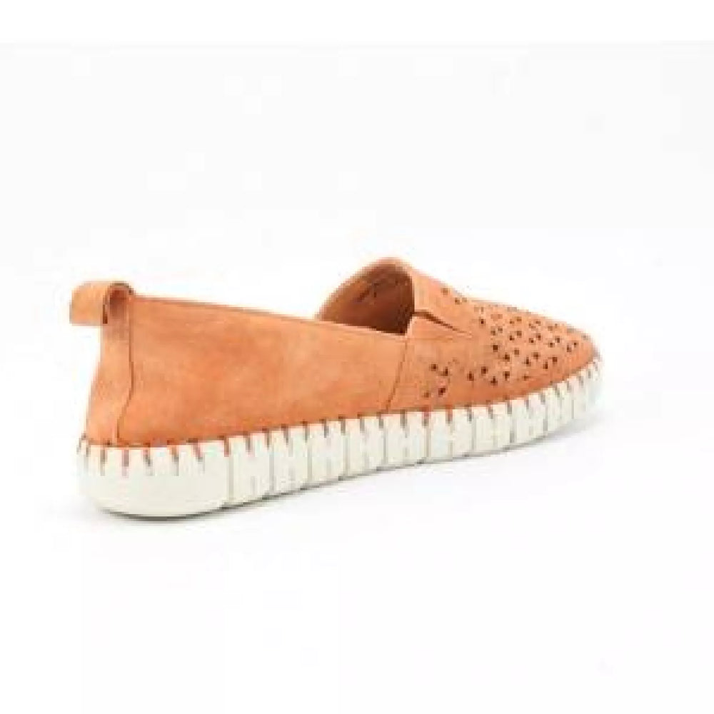 
                  
                    SIOUX SIOUX 6169291 rachida -700
                  
                
