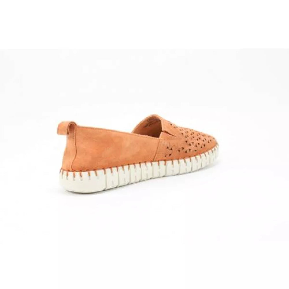 
                  
                    SIOUX SIOUX 6169291 rachida -700
                  
                