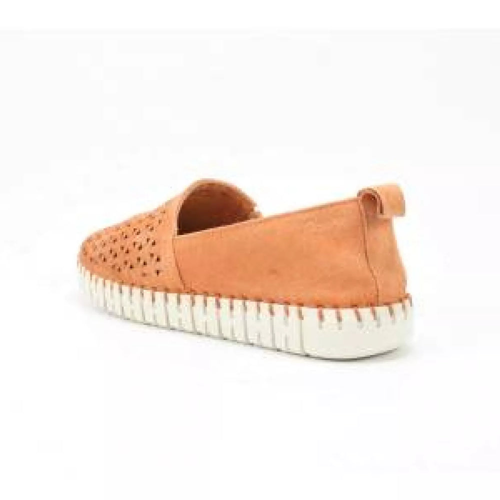 
                  
                    SIOUX SIOUX 6169291 rachida -700
                  
                