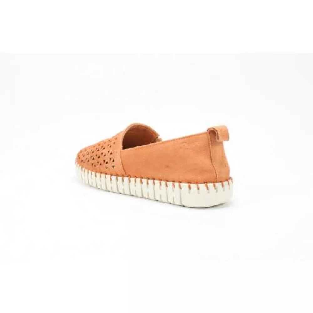 
                  
                    SIOUX SIOUX 6169291 rachida -700
                  
                