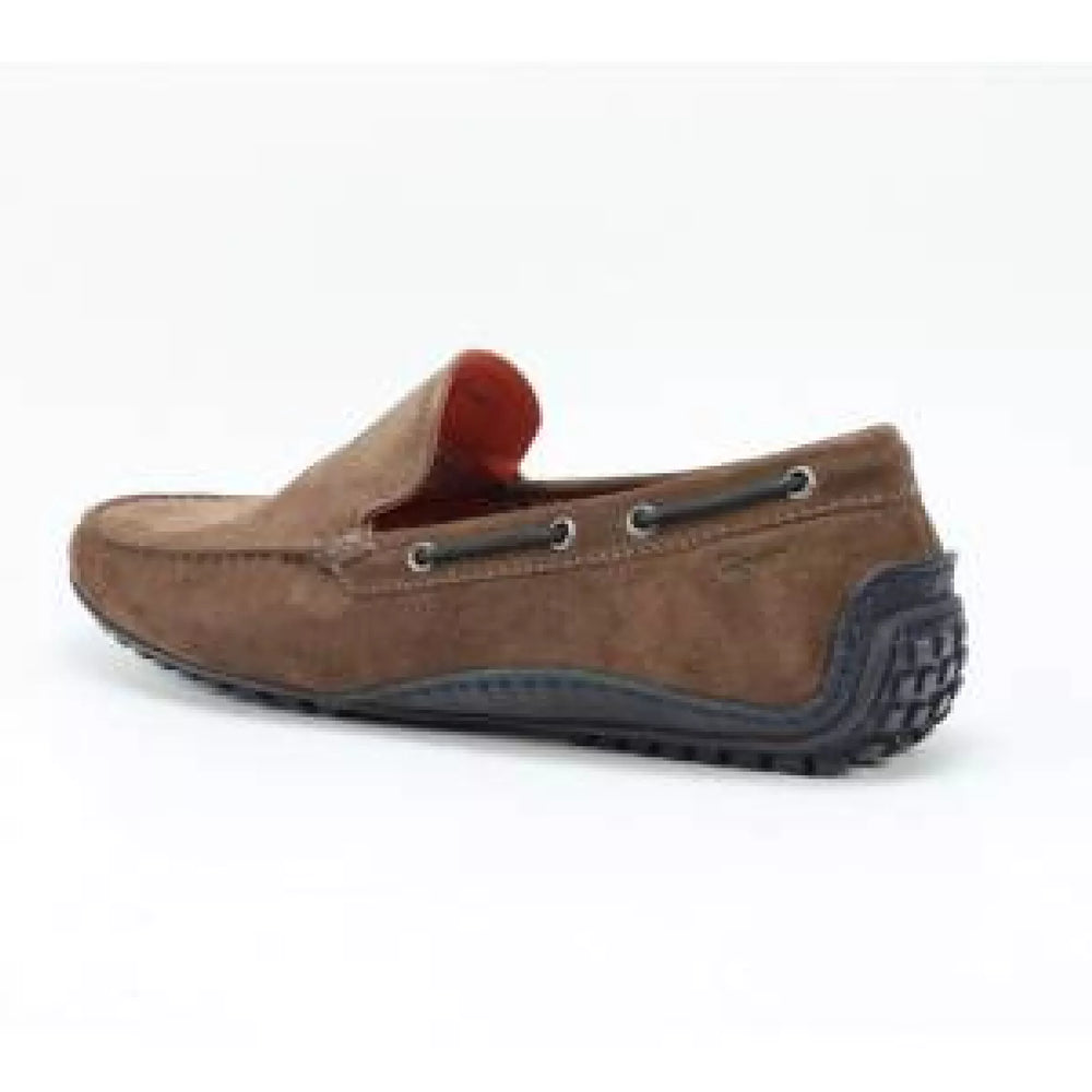 
                  
                    SIOUX SIOUX Callimo 6110323
                  
                
