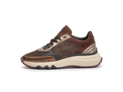 Floris van Bommel SFW-10089-92-01 / Curvi 04.01 BRONS